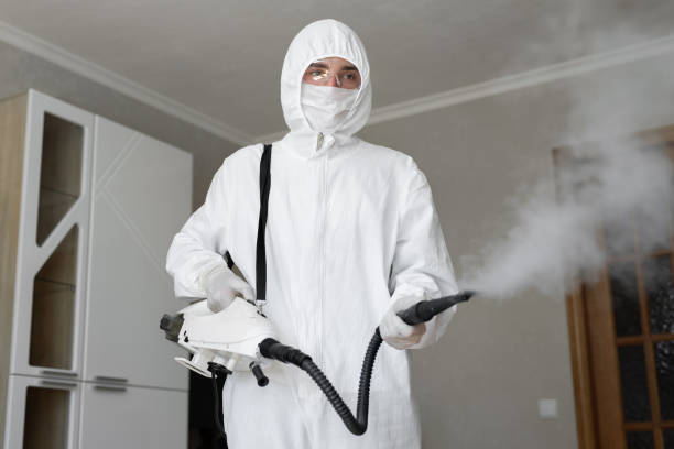 Mold Removal for HVAC Installations in Phelan, CA